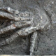 Illustration for article titled An archaeological first: sixteen severed hands found buried in ancient Egyptian city